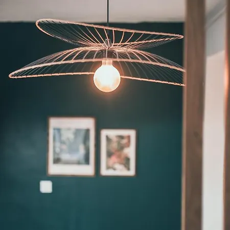 L'amazonien - Baby-foot Et Filet De Détente ! * Nimes