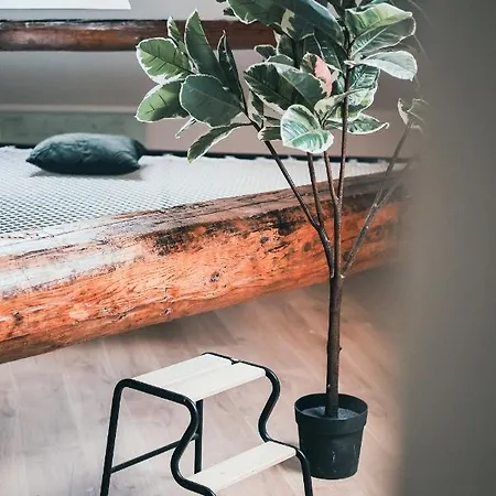 Apartamento L'amazonien - Baby-foot Et Filet De Détente ! *