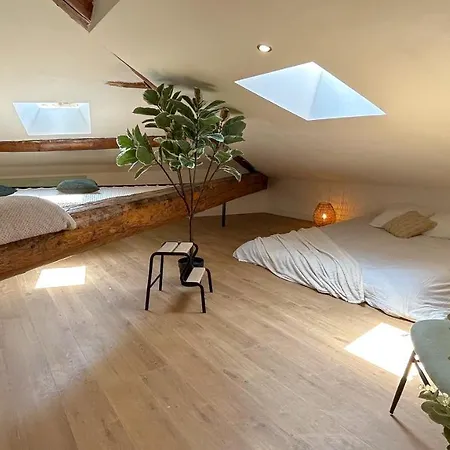 Apartamento L'amazonien - Baby-foot Et Filet De Détente !