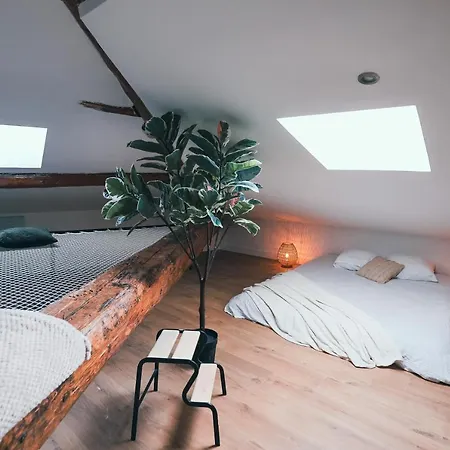 L'amazonien - Baby-foot Et Filet De Détente ! * Nimes