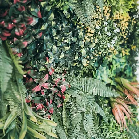 Apartamento L'amazonien - Baby-foot Et Filet De Détente !