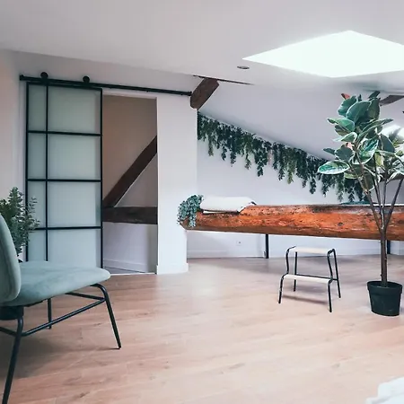 L'amazonien - Baby-foot Et Filet De Détente ! *