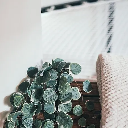 Apartamento L'amazonien - Baby-foot Et Filet De Détente !