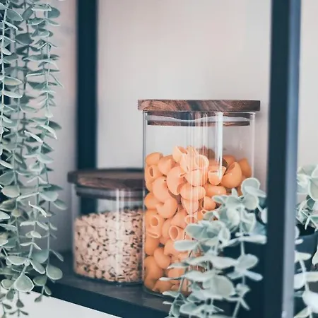 L'amazonien - Baby-foot Et Filet De Détente ! *