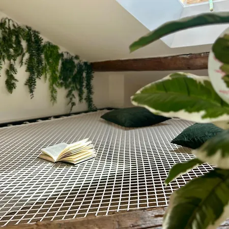 L'amazonien - Baby-foot Et Filet De Detente ! شقة