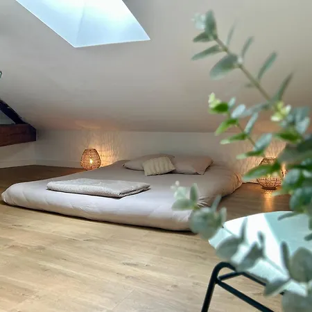 L'amazonien - Baby-foot Et Filet De Détente ! *