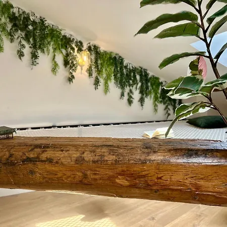 L'amazonien - Baby-foot Et Filet De Détente ! Nimes